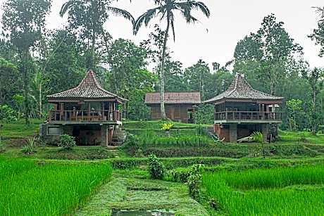 Tepi Sawah Lodge