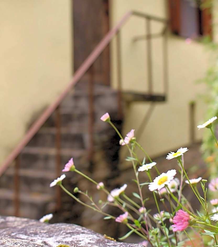 Watermill Moinho Garcia