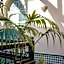 Riad Zidania