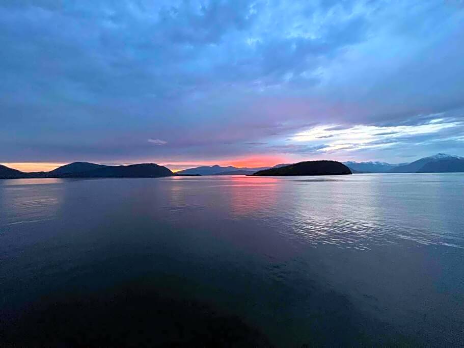 Dream House -Water Lily