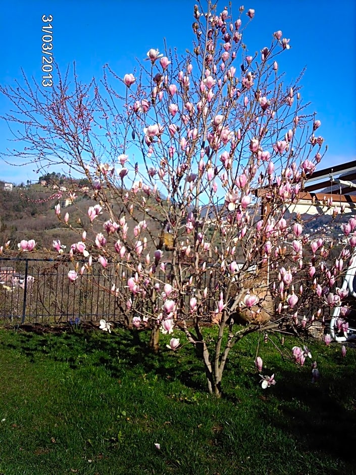 B&B Le Rondini