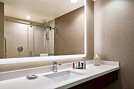 Concierge lounge access, 1 Bedroom 2 room Suite, 1 King, Sofa bed, High floor