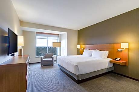 One-Bedroom King Suite with Sofa Bed