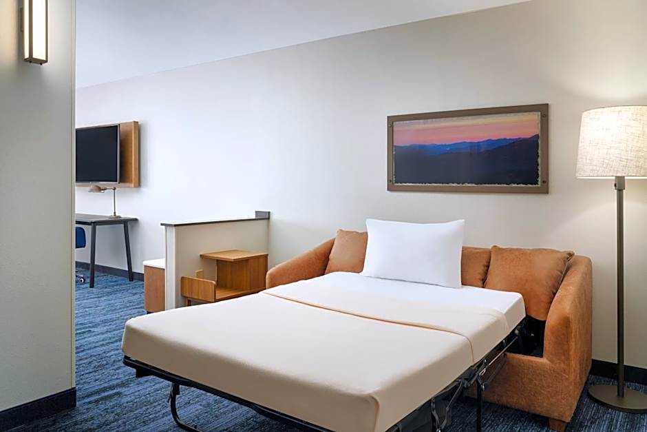 Fairfield Inn & Suites by Marriott Auburn Opelika