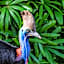 BIG4 Tasman Holiday Parks - South Mission Beach