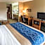 Comfort Inn Crystal Lake