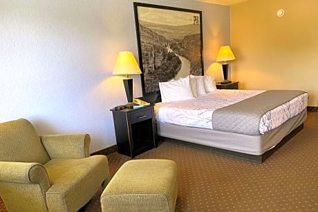 1 KING BEDSMOKFLATSCREFRIGHISPDFULL BREAKFAST