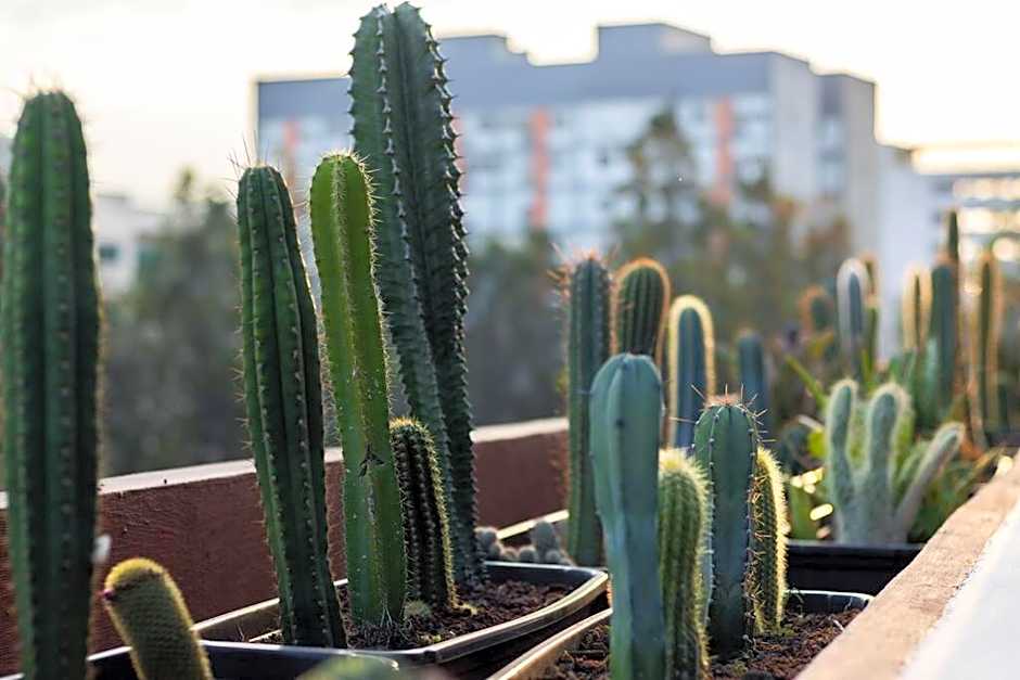 L102 New studio apt 1Bdrm 1bath AC Rooftop