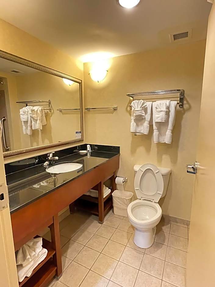 Comfort Suites Fredericksburg