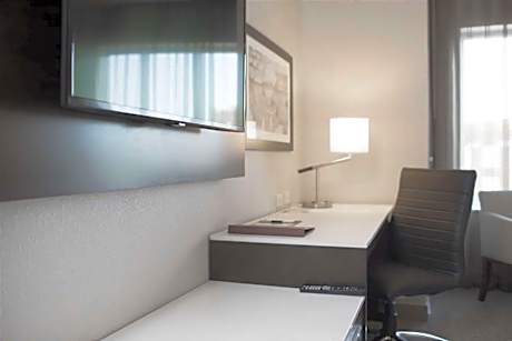 King Studio Suite with Roll in Shower