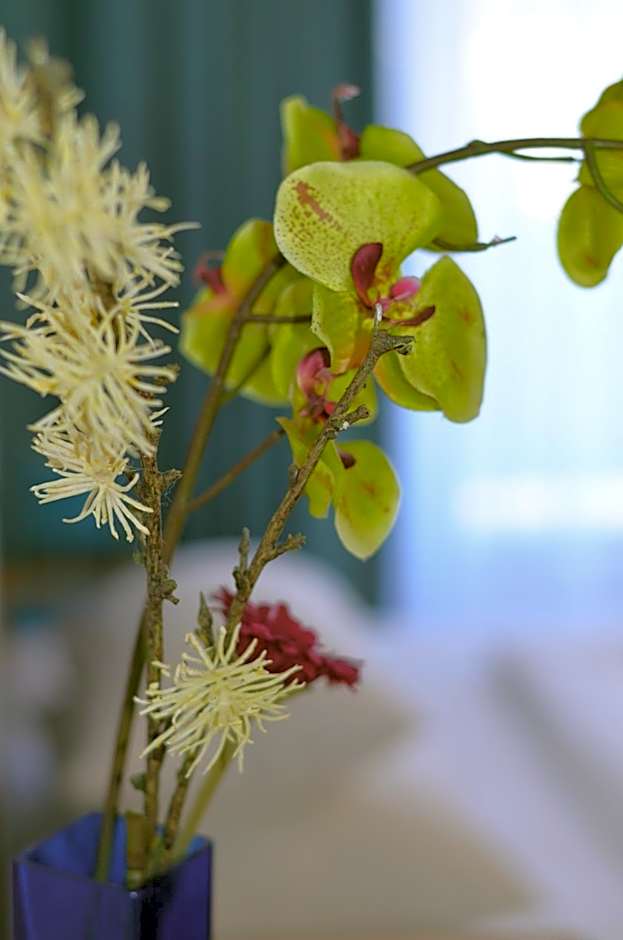 Neu Heidelberg - Guesthouse & Apartments