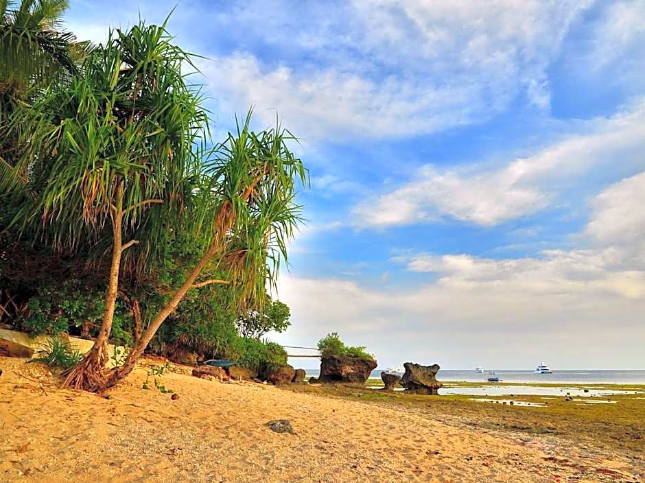 Toris Backpackers Paradise