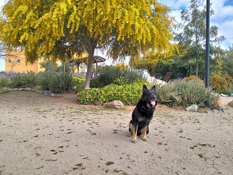 Quinta Lorame