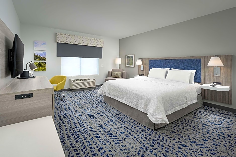 Photo 1 of 4 of 1 King Bed, Mobility Accessible, Bathtub