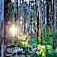 Scarlet Woods Chalets