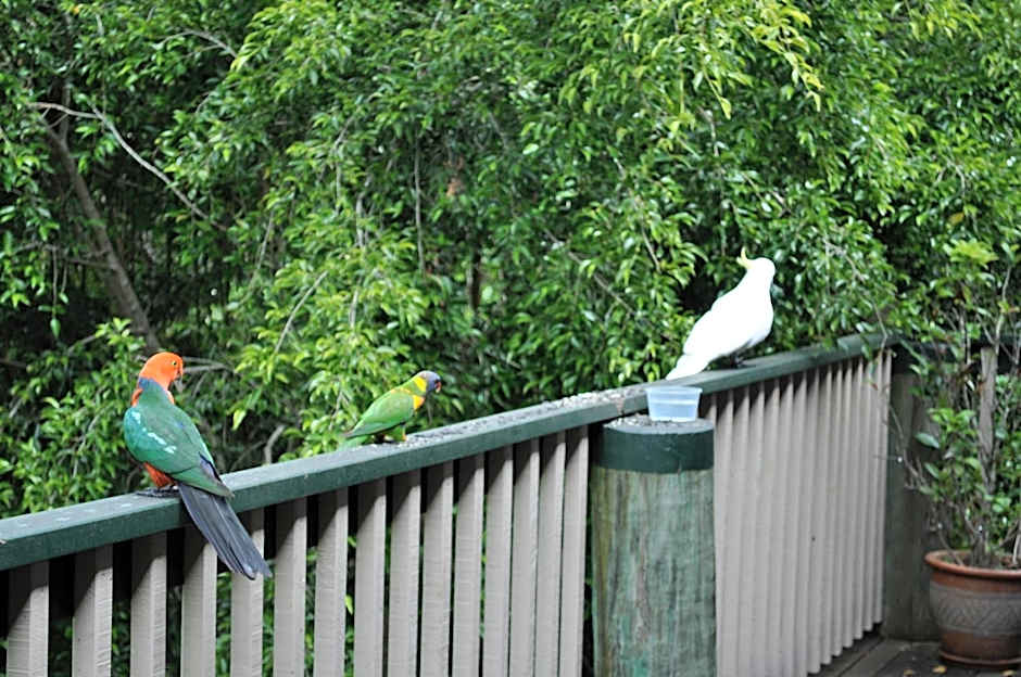 The Castle on Tamborine