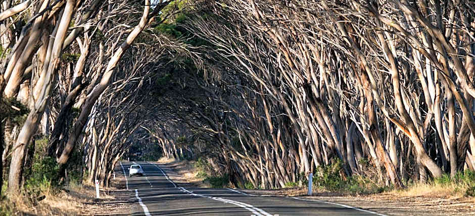 Mercure Kangaroo Island Lodge