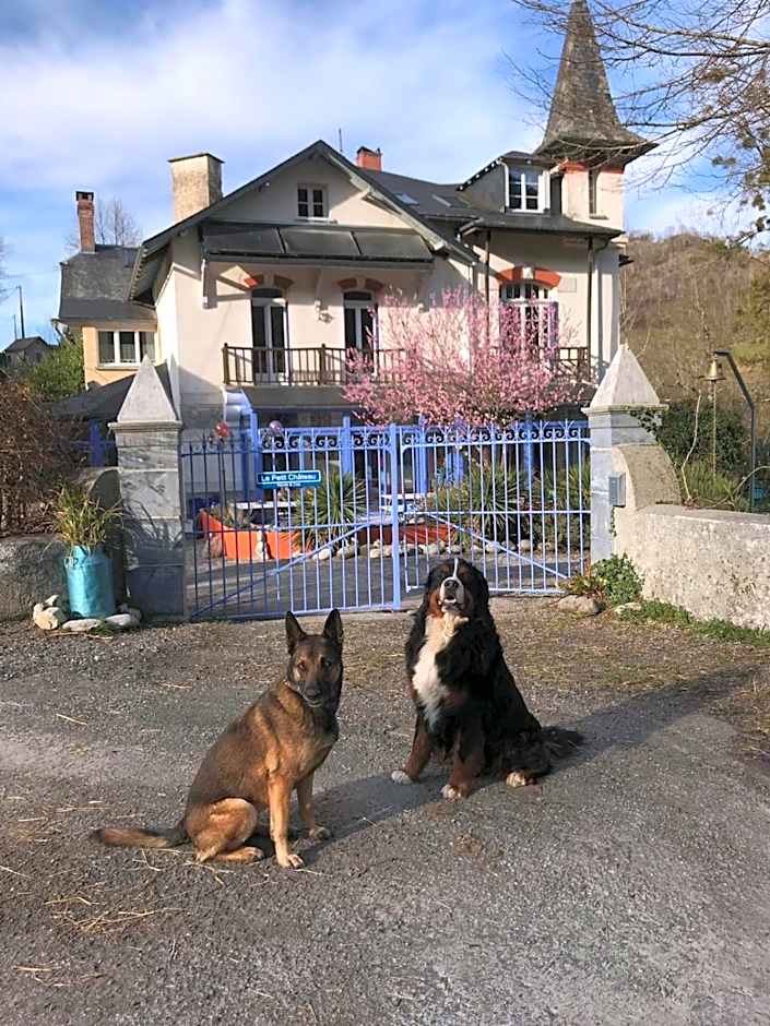 Petit Château