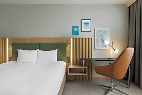 Room, 1 King Bed