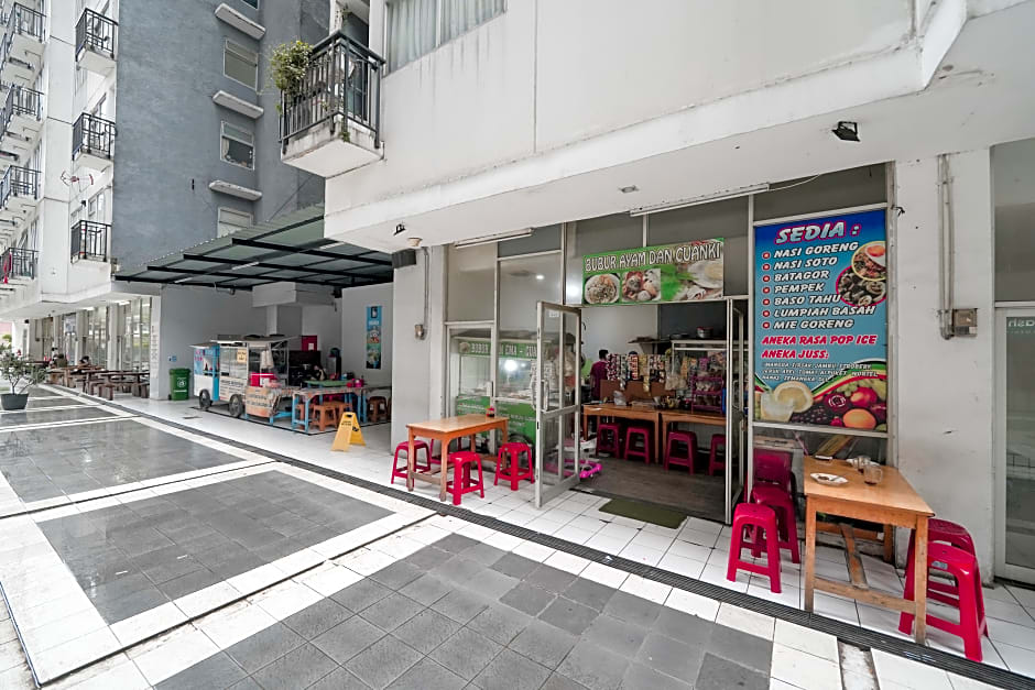 The Jarrdin by Bethania Pro by ZUZU