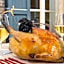 Hotel Spa Frederic Carrion et sa table gastronomique