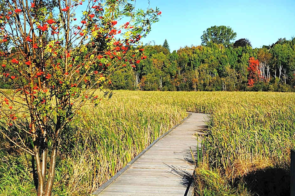 Travelway Inn Sudbury