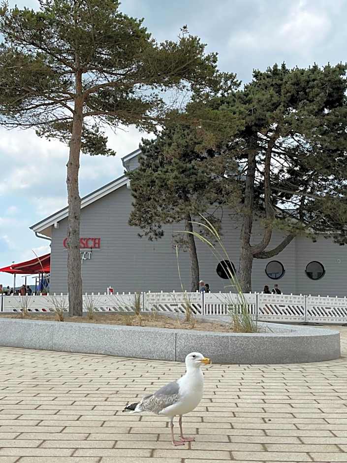 Lieblingsplatz Hotel Surf Rescue Club