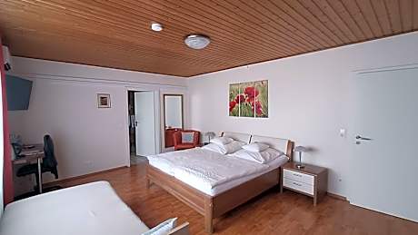 Triple Room with Bathroom