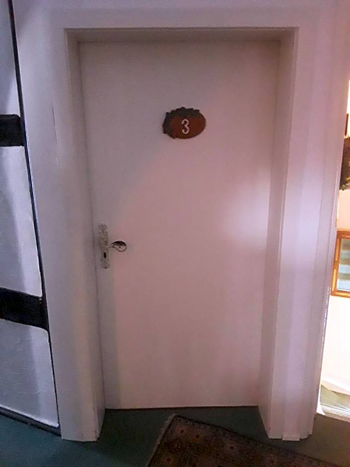 Hotel Feiler
