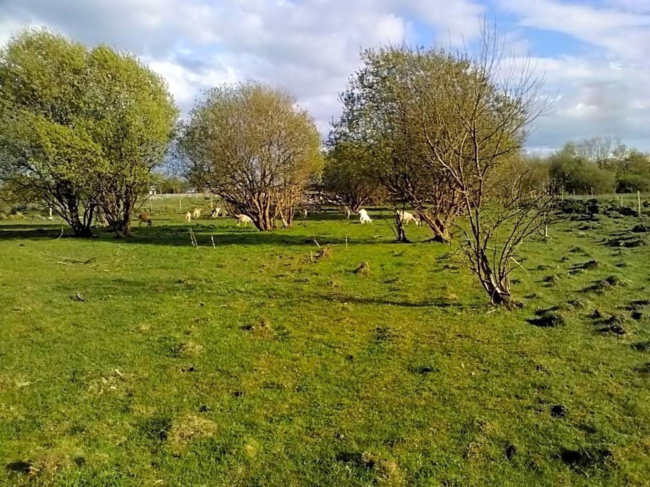 The Little Flock Farm