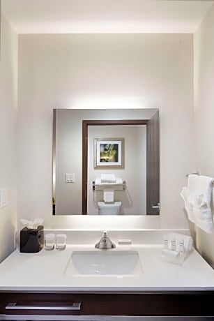 1King Hearing Accessible Studio Suite Nosmok