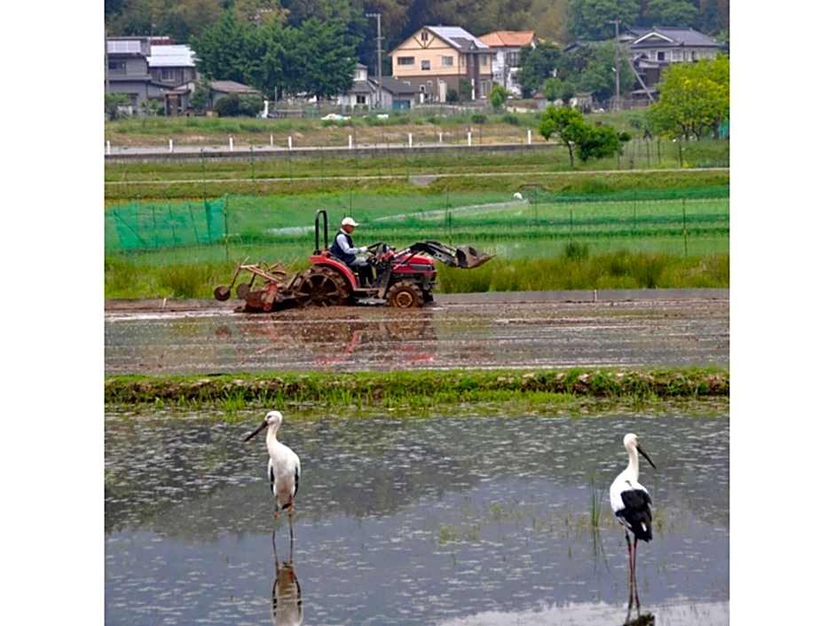 Pure Hotel - Vacation STAY 44187v