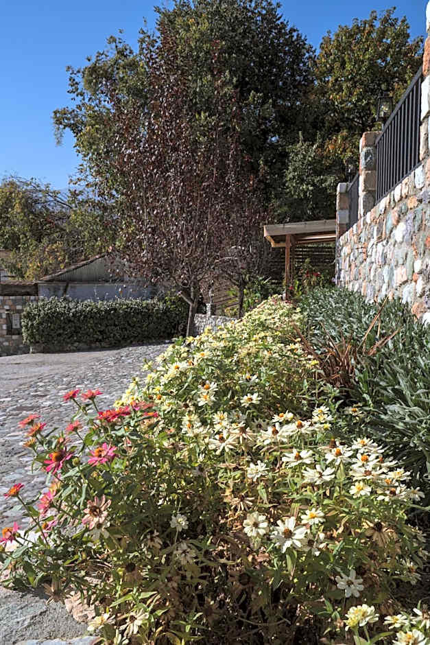 Alkyonis Hotel & Spa