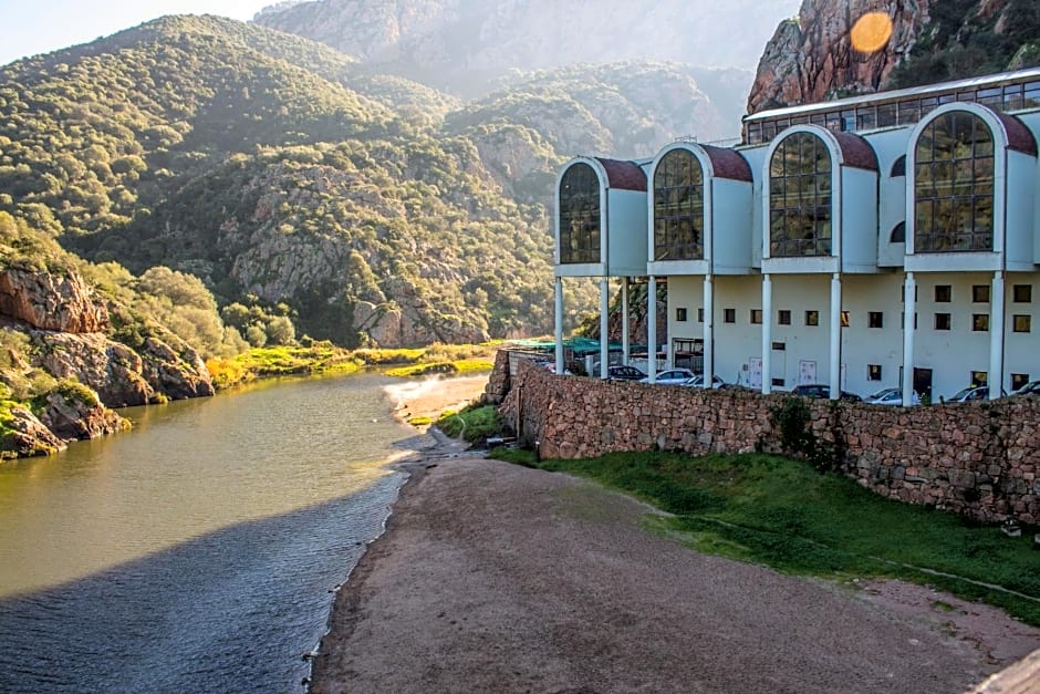 Il giardino degli ulivi