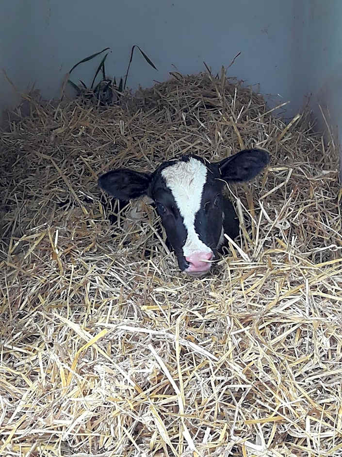 kleinHOTEL Steinau-Rabenstein GbR