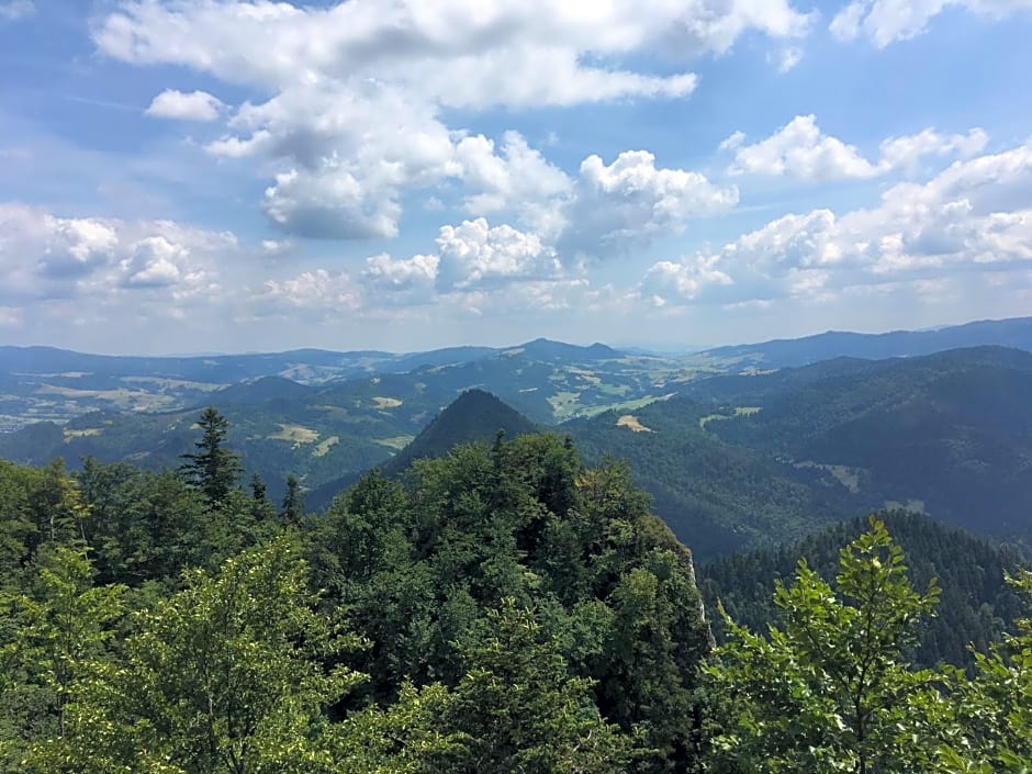 Domki letniskowe w Pieninach