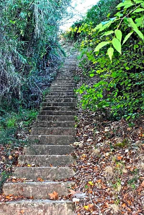 Hotel rural HD Riudebitlles art i allotjament