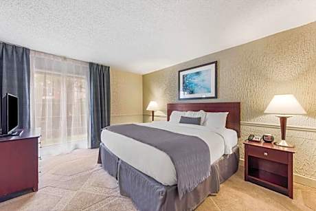 Deluxe King Suite - Non-Smoking