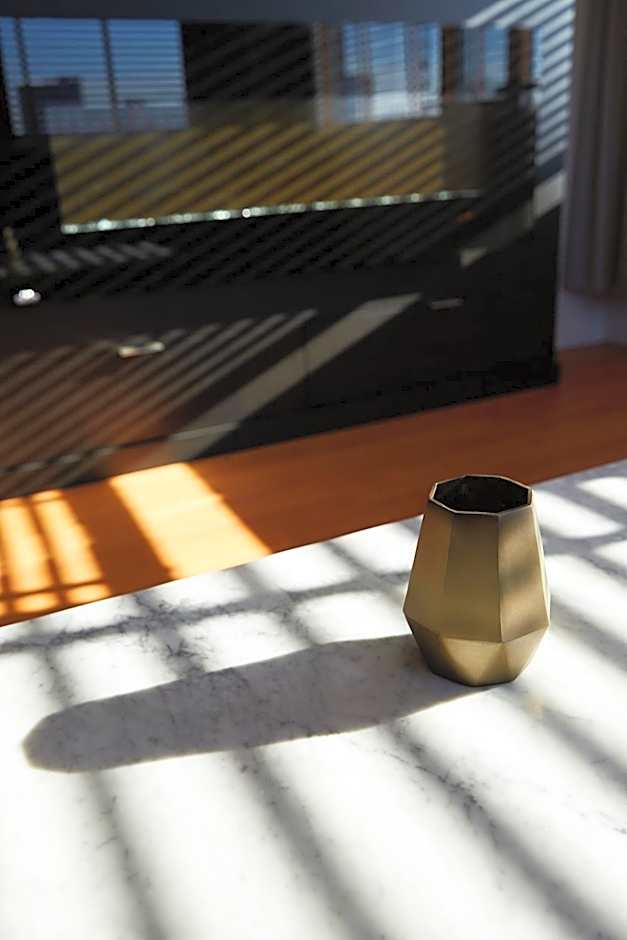 Le Dauphin MontrÃ©al-Longueuil