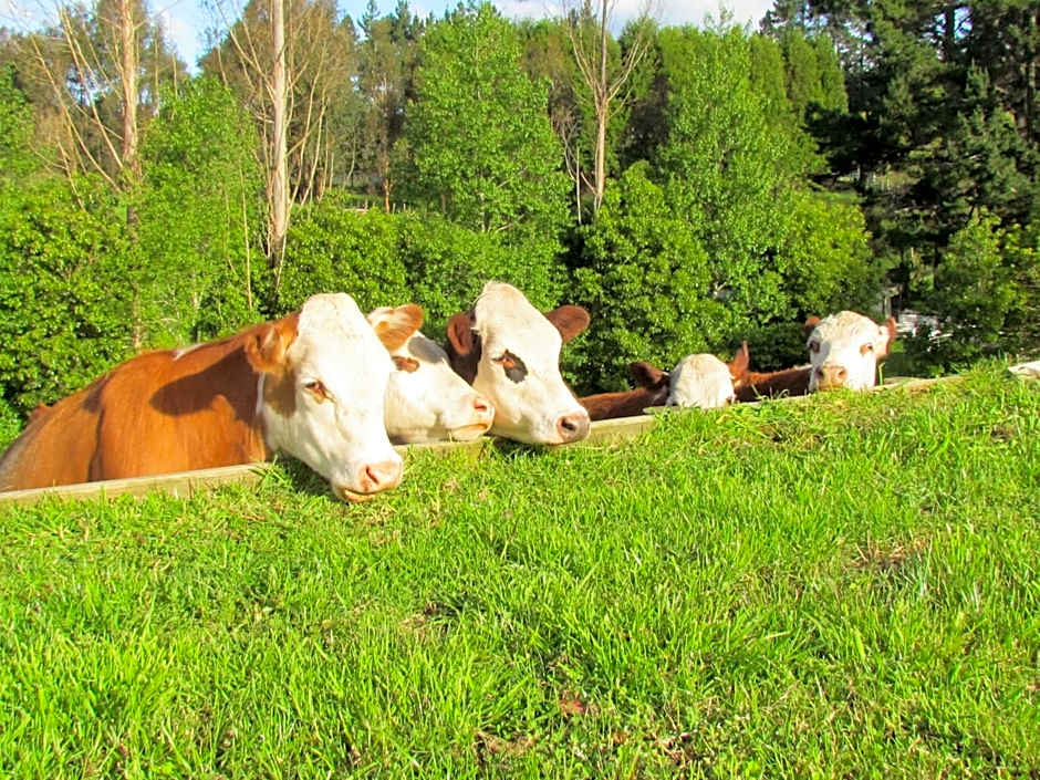 Rolling Hills Country Stay B&B
