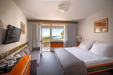 Premium Double or Twin Room
