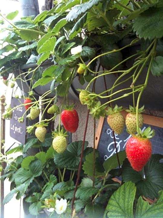 Logis Hotel La Grange Du Relais