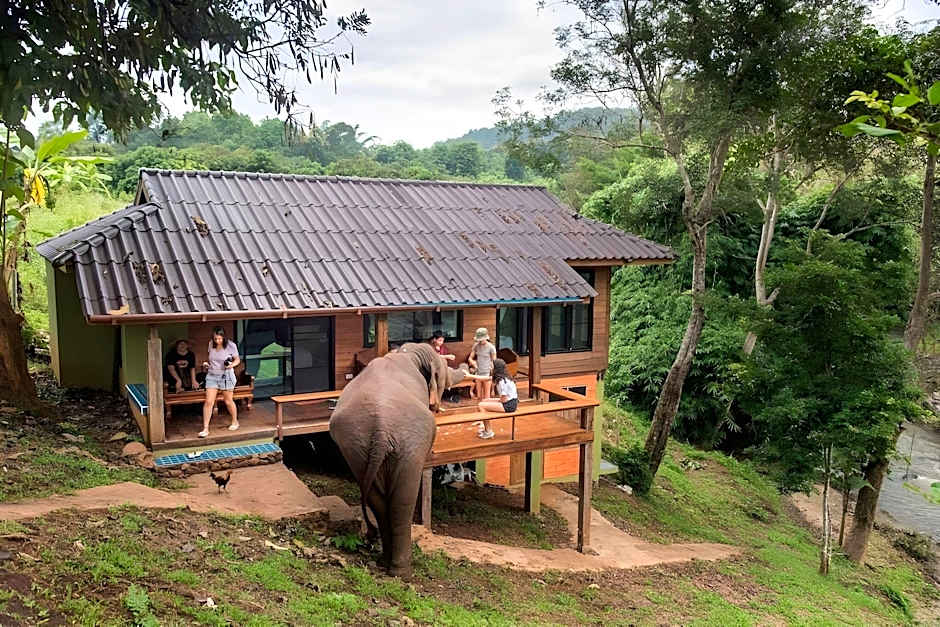 Chiang Mai Elephant Friends