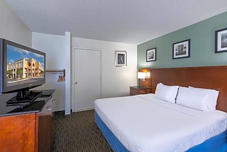 King Room - Disability Access - Non-Smoking