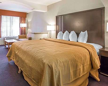 1 King Bed Suite Nonsmoking