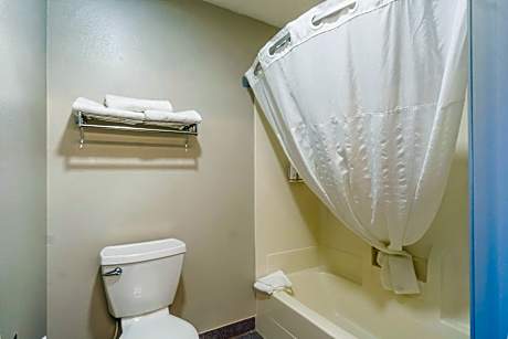 2 Queen Beds Studio Suite Non-Smoking