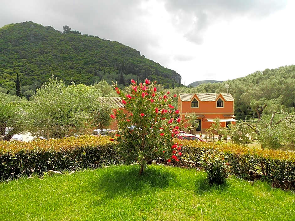 Anemona Studios