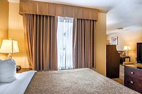 1 King Bed, Suite, Nonsmoking