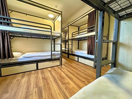  Bed in 10-Bed Mixed Dormitory Room