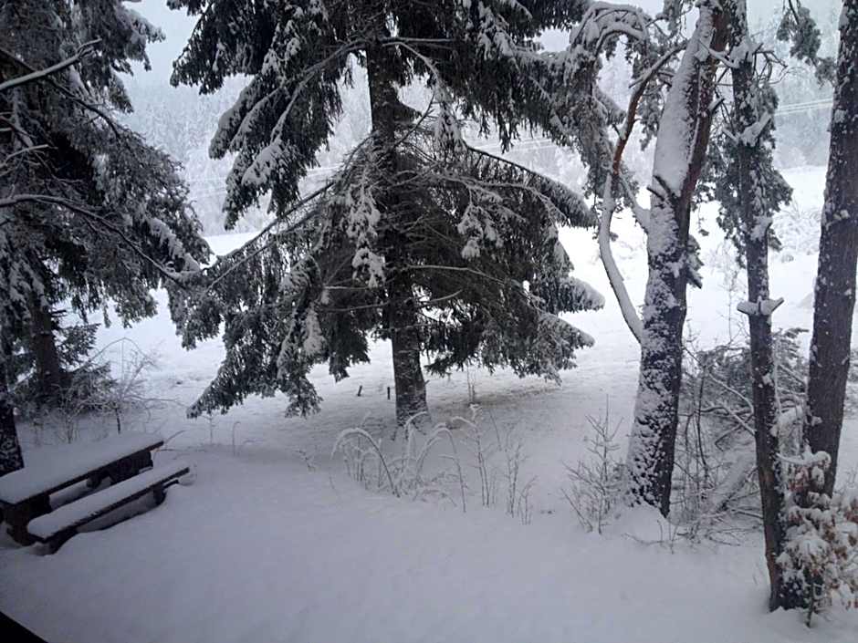 Chata u Gregora v Slovenskom raji